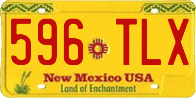 NM license plate 596TLX
