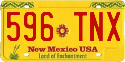 NM license plate 596TNX