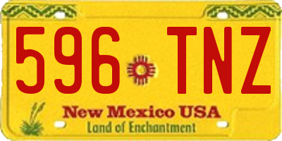 NM license plate 596TNZ