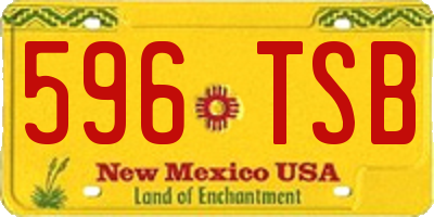 NM license plate 596TSB