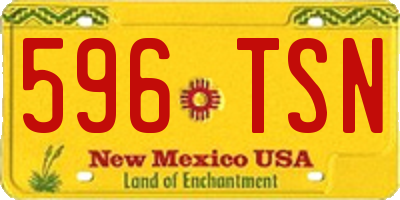 NM license plate 596TSN
