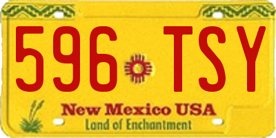 NM license plate 596TSY