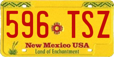 NM license plate 596TSZ