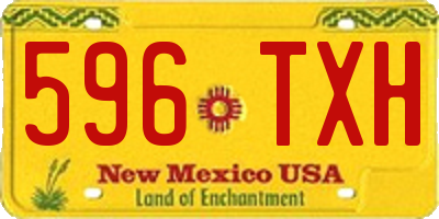 NM license plate 596TXH