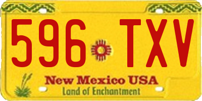 NM license plate 596TXV