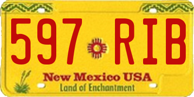 NM license plate 597RIB