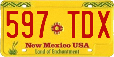 NM license plate 597TDX