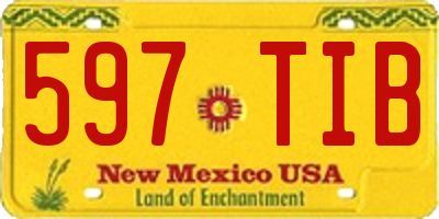 NM license plate 597TIB