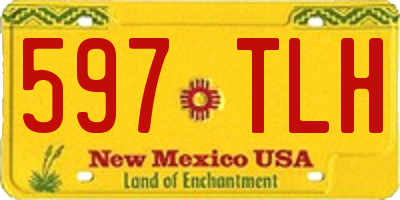 NM license plate 597TLH