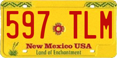 NM license plate 597TLM