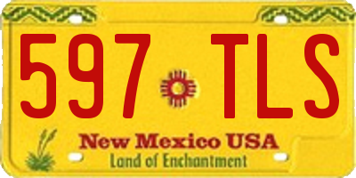 NM license plate 597TLS
