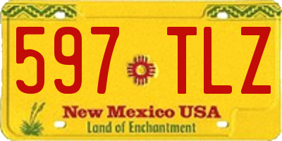 NM license plate 597TLZ