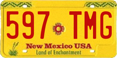 NM license plate 597TMG