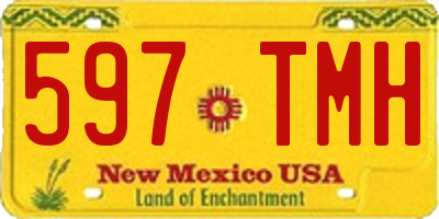NM license plate 597TMH