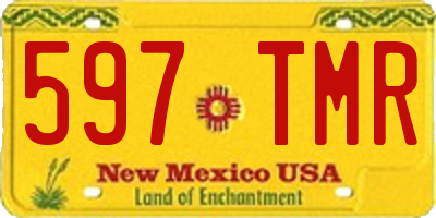 NM license plate 597TMR