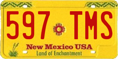 NM license plate 597TMS