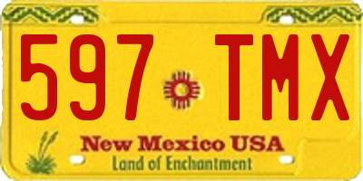 NM license plate 597TMX