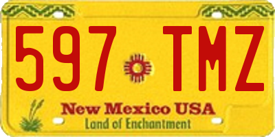 NM license plate 597TMZ