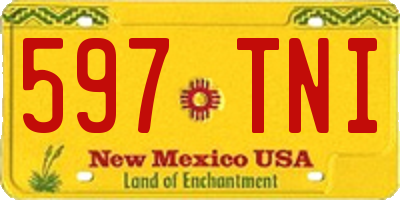 NM license plate 597TNI