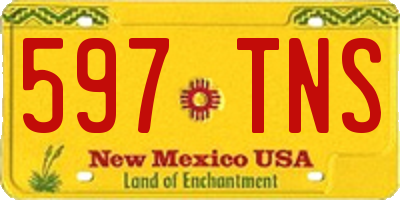 NM license plate 597TNS