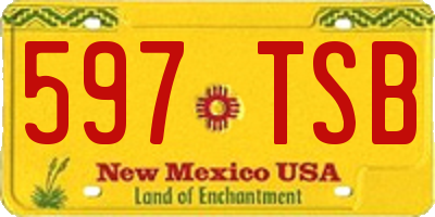 NM license plate 597TSB