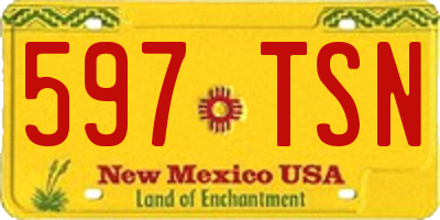 NM license plate 597TSN