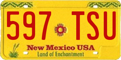 NM license plate 597TSU