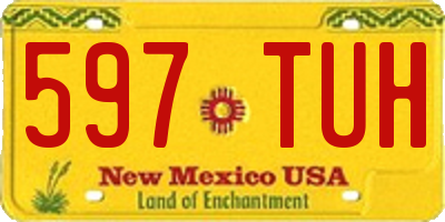 NM license plate 597TUH