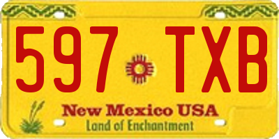 NM license plate 597TXB
