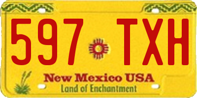 NM license plate 597TXH