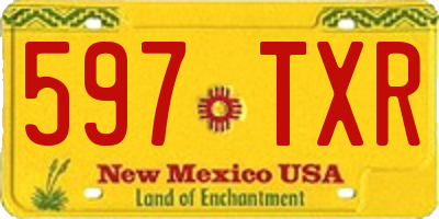 NM license plate 597TXR