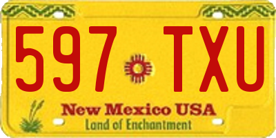 NM license plate 597TXU