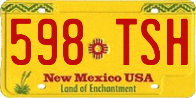 NM license plate 598TSH