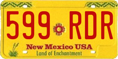 NM license plate 599RDR