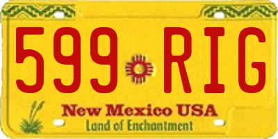 NM license plate 599RIG