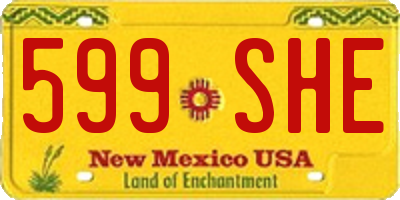 NM license plate 599SHE