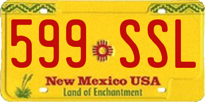 NM license plate 599SSL