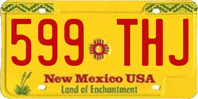 NM license plate 599THJ