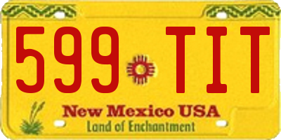NM license plate 599TIT