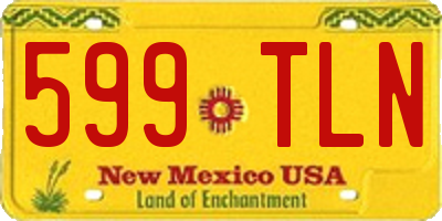 NM license plate 599TLN