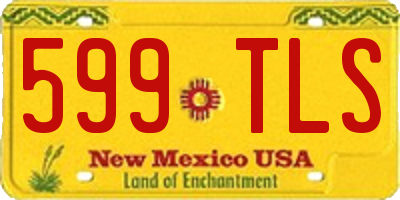 NM license plate 599TLS