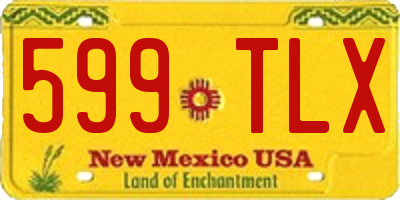 NM license plate 599TLX