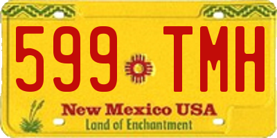 NM license plate 599TMH