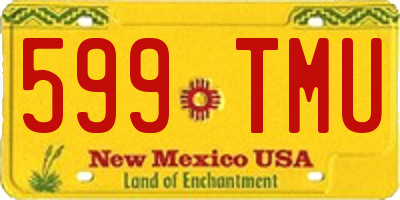 NM license plate 599TMU