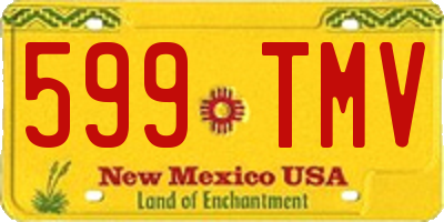 NM license plate 599TMV
