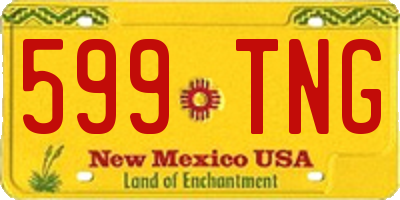 NM license plate 599TNG