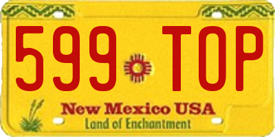 NM license plate 599TOP