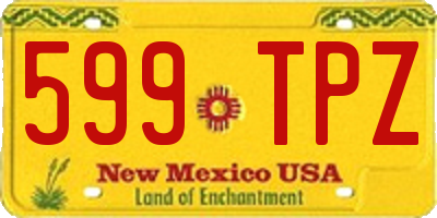 NM license plate 599TPZ