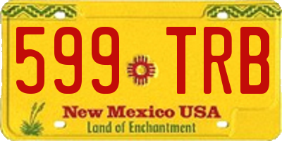 NM license plate 599TRB