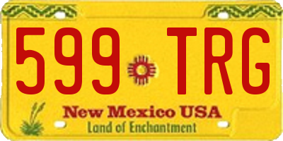 NM license plate 599TRG